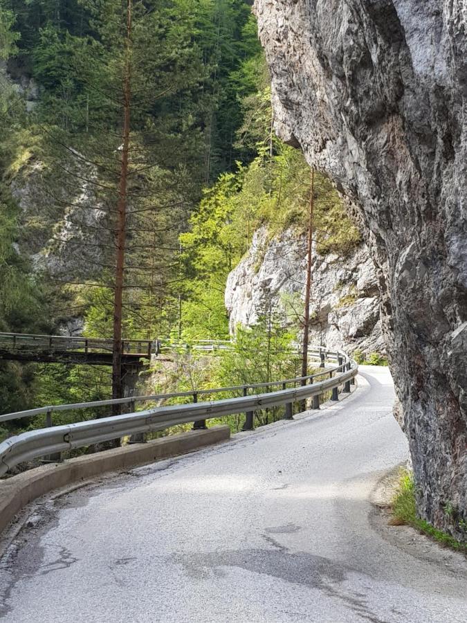 Pension Gut Trogern Bad Eisenkappel Exterior foto