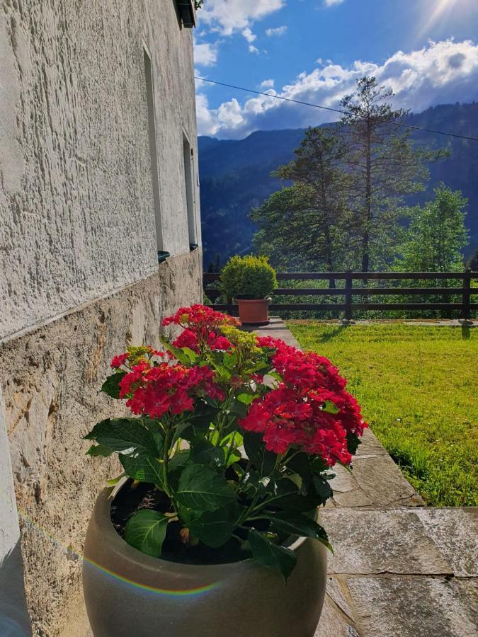 Pension Gut Trogern Bad Eisenkappel Exterior foto