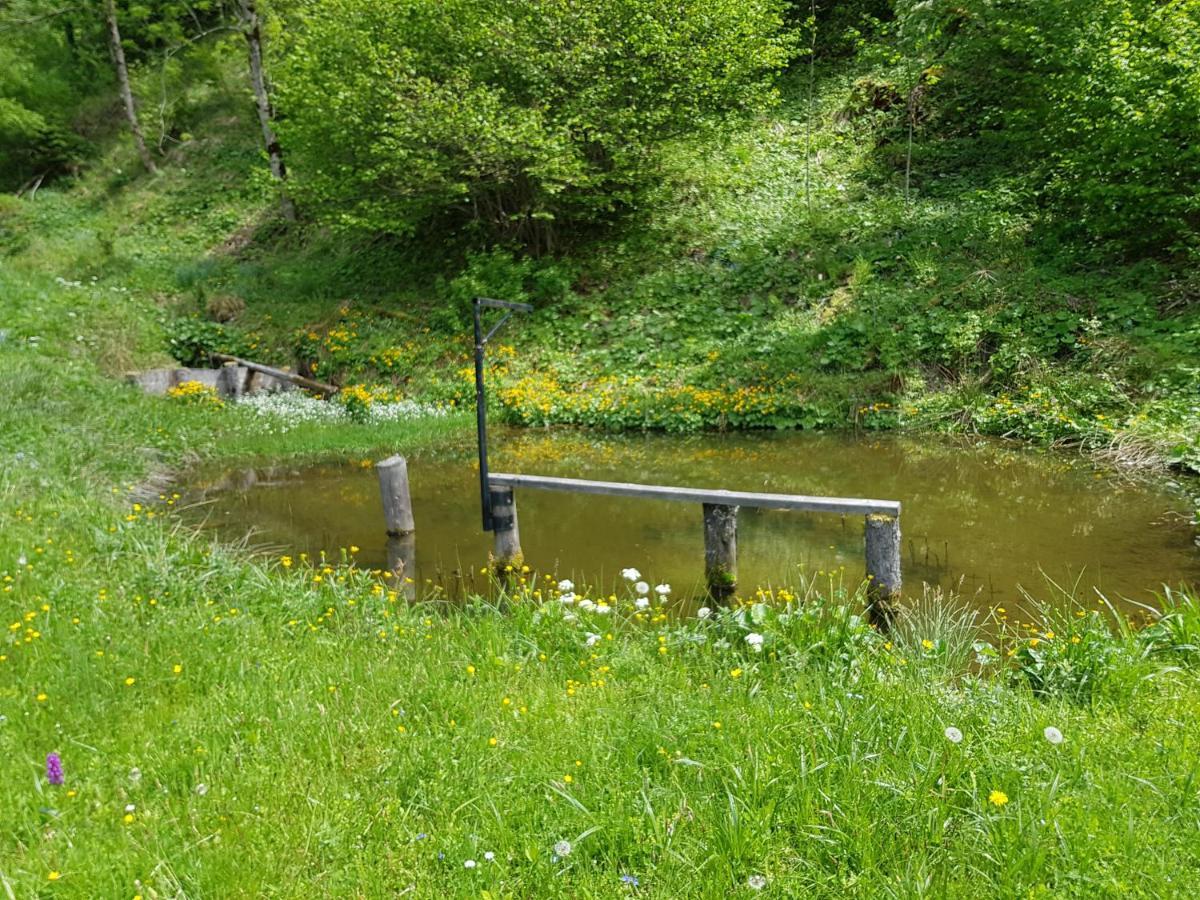 Pension Gut Trogern Bad Eisenkappel Exterior foto